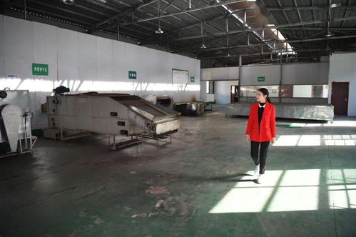 一片茶叶，万千气象——新华社关注平利以茶饮产业引领乡村振兴新实践