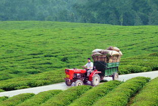又一波财政扶持资金来袭，农综特色项目2018年申报启动