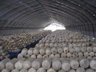 全国农产品及加工副产物18种综合利用经典模式，农人必看